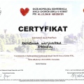 Powiększ obraz: certificate 21