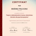 Powiększ obraz: certificate 11