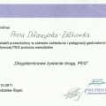 Powiększ obraz: certificate 9
