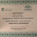 Powiększ obraz: certificate 7