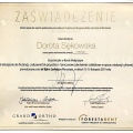 Powiększ obraz: certificate 2