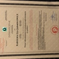 Powiększ obraz: certificate 19