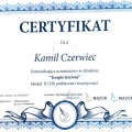 Powiększ obraz: certificate 13