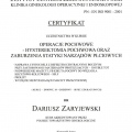 Powiększ obraz: certificate 11