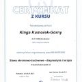 Powiększ obraz: certificate 13