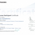 Powiększ obraz: certificate 2