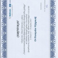 Powiększ obraz: certificate 9