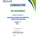 Powiększ obraz: certificate 11