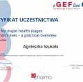 Powiększ obraz: certificate 28
