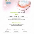 Powiększ obraz: certificate 4