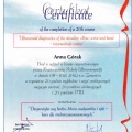Powiększ obraz: certificate 3