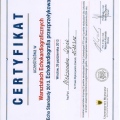 Powiększ obraz: certificate 6