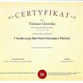 Powiększ obraz: certificate 2