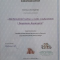 Powiększ obraz: certificate 16