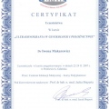 Powiększ obraz: certificate 2