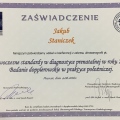 Powiększ obraz: certificate 45