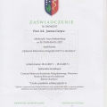 Powiększ obraz: certificate 5