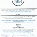 Powiększ obraz: certificate 1