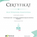 Powiększ obraz: certificate 13