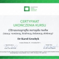 Powiększ obraz: certificate 4