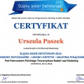 Powiększ obraz: certificate 22