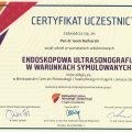 Powiększ obraz: certificate 6