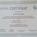 Powiększ obraz: certificate 12