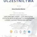 Powiększ obraz: certificate 8