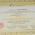 Powiększ obraz: certificate 5