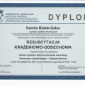 Powiększ obraz: certificate 59