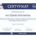 Powiększ obraz: certificate 2
