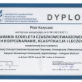 Powiększ obraz: certificate 3