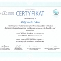 Powiększ obraz: certificate 9