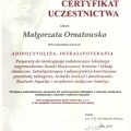 Powiększ obraz: certificate 15