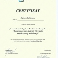Powiększ obraz: certificate 19