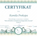 Powiększ obraz: certificate 10