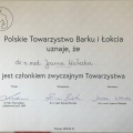 Powiększ obraz: certificate 8