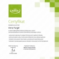 Powiększ obraz: certificate 12