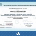 Powiększ obraz: certificate 2