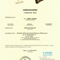 Powiększ obraz: certificate 3