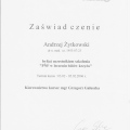 Powiększ obraz: certificate 38