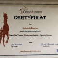 Powiększ obraz: certificate 5