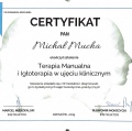 Powiększ obraz: certificate 6
