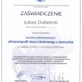 Powiększ obraz: certificate 2