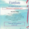 Powiększ obraz: certificate 14