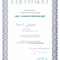 Powiększ obraz: certificate 13