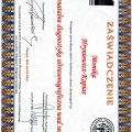 Powiększ obraz: certificate 7