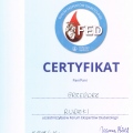 Powiększ obraz: certificate 1