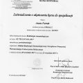 Powiększ obraz: certificate 38