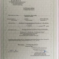 Powiększ obraz: certificate 4